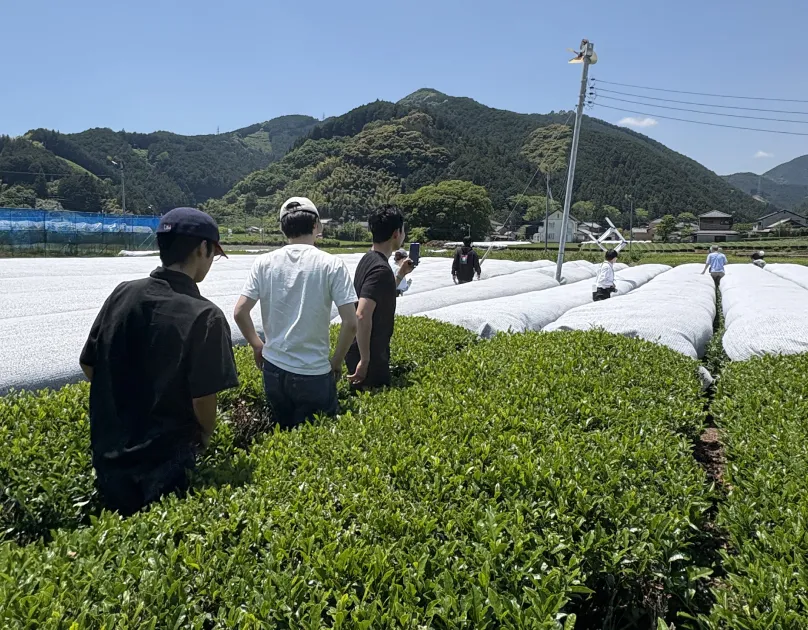 Tea farm tour participants in the field