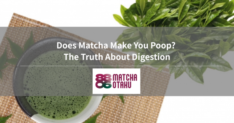Does Matcha Make You Poop? The Truth About Digestion