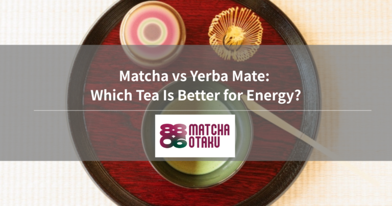 Matcha vs Yerba Mate: Which Tea Is Better for Energy?