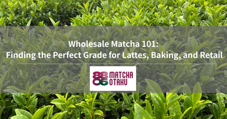 Wholesale Matcha 101: Finding the Perfect Grade for Lattes, Baking, and Retail