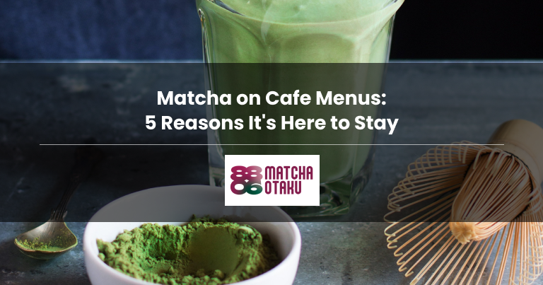 Matcha on Cafe Menus: 5 Reasons It’s Here to Stay